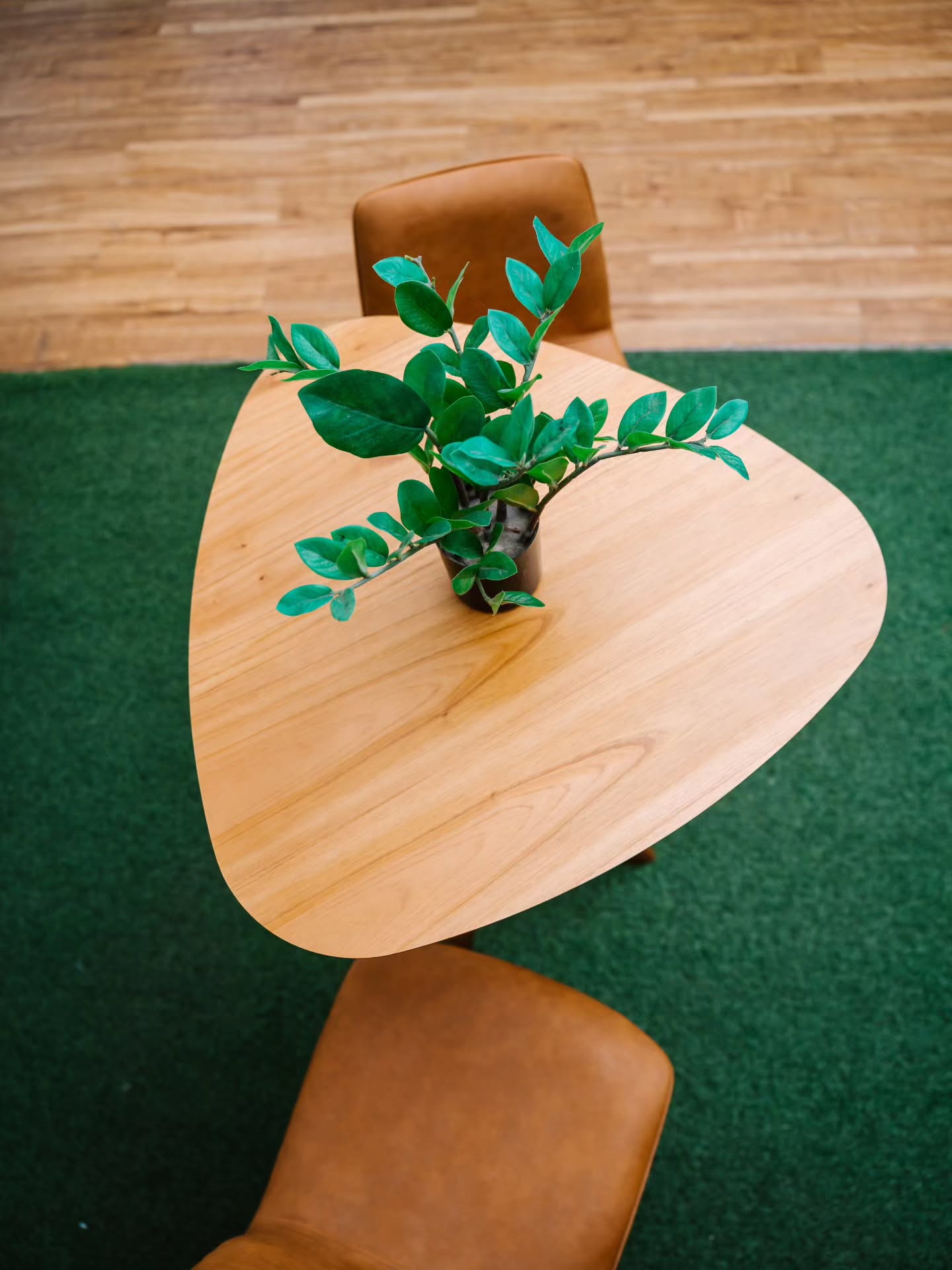 Conjunto Bless Bistrô - Imagem 5